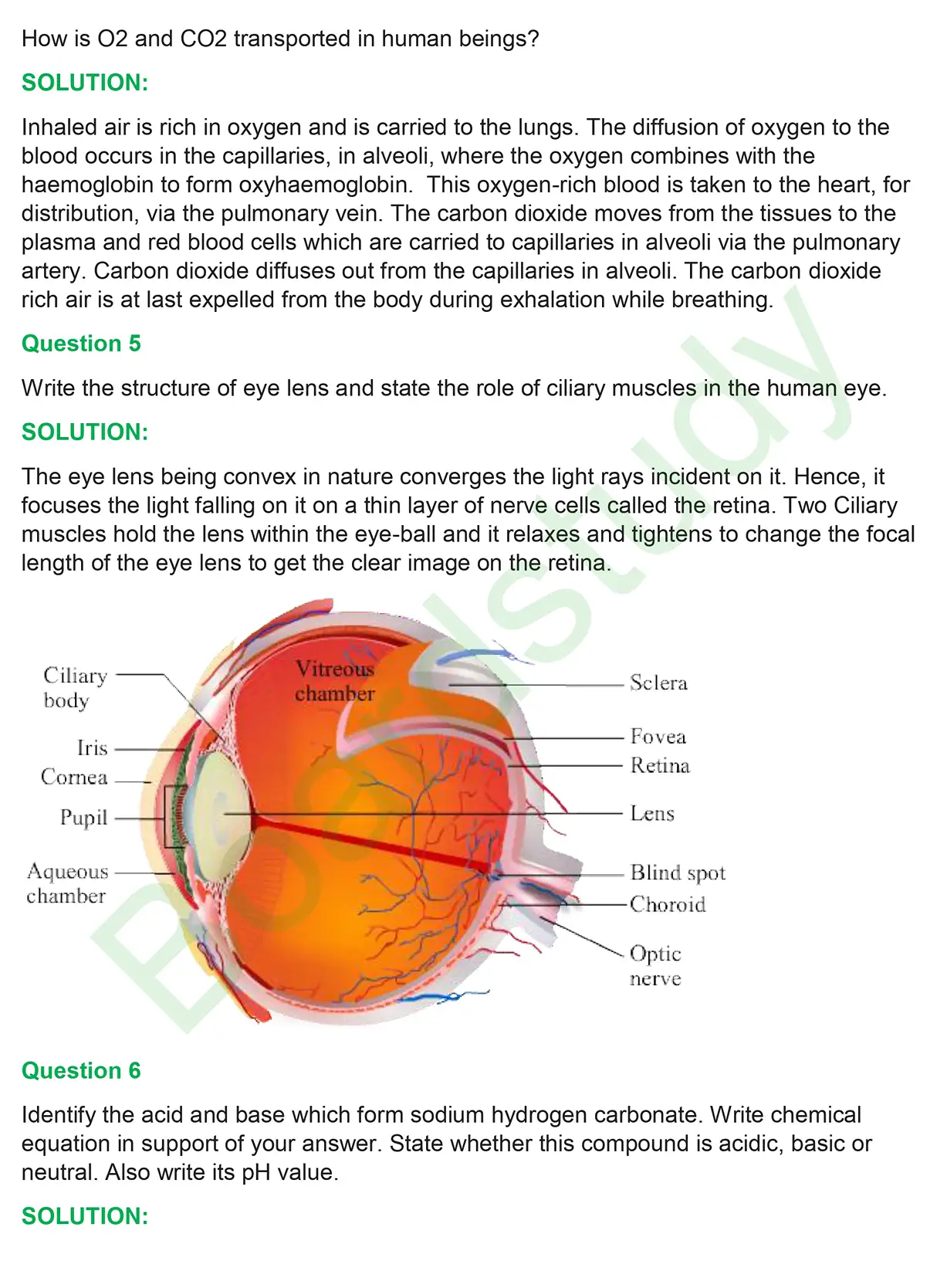 CBSE Class 10 Science PYQ 2019 set 2 questions with solution page 0003