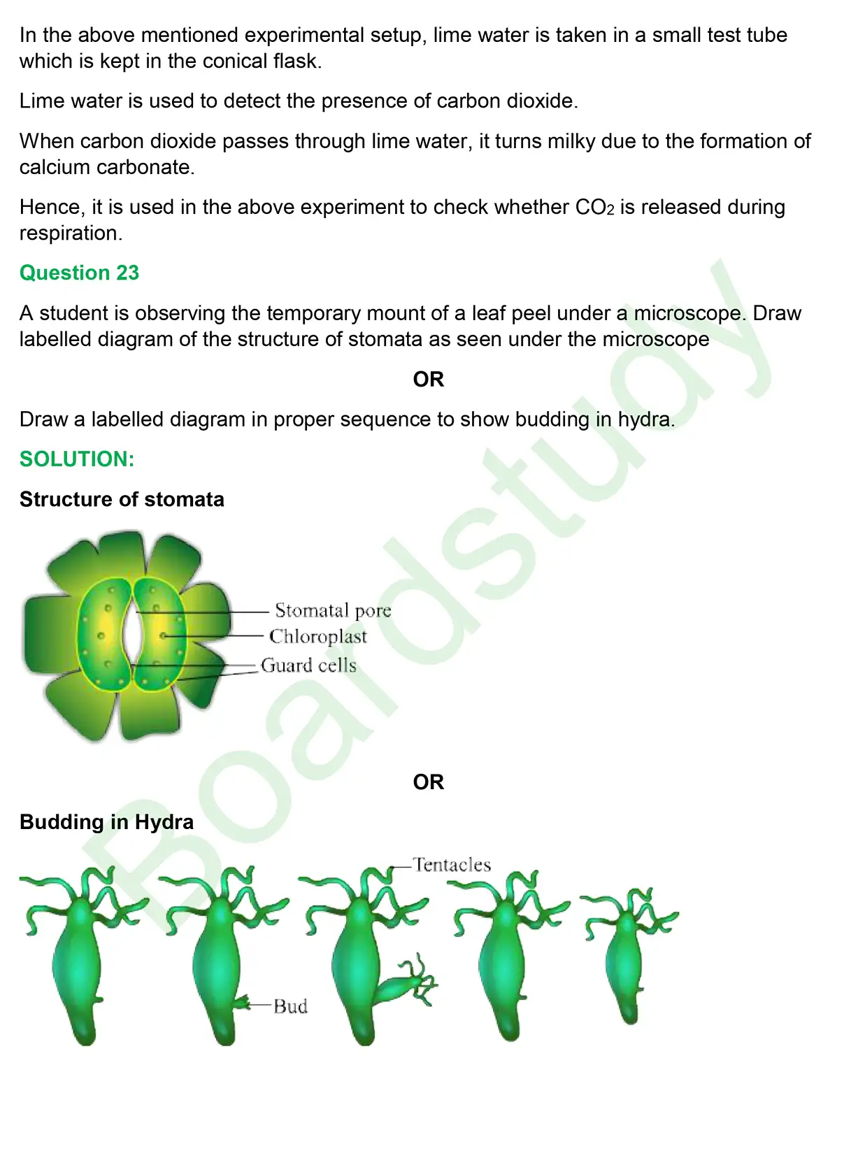CBSE Class 10 Science PYQ 2019 set 2 questions with solution page 0020