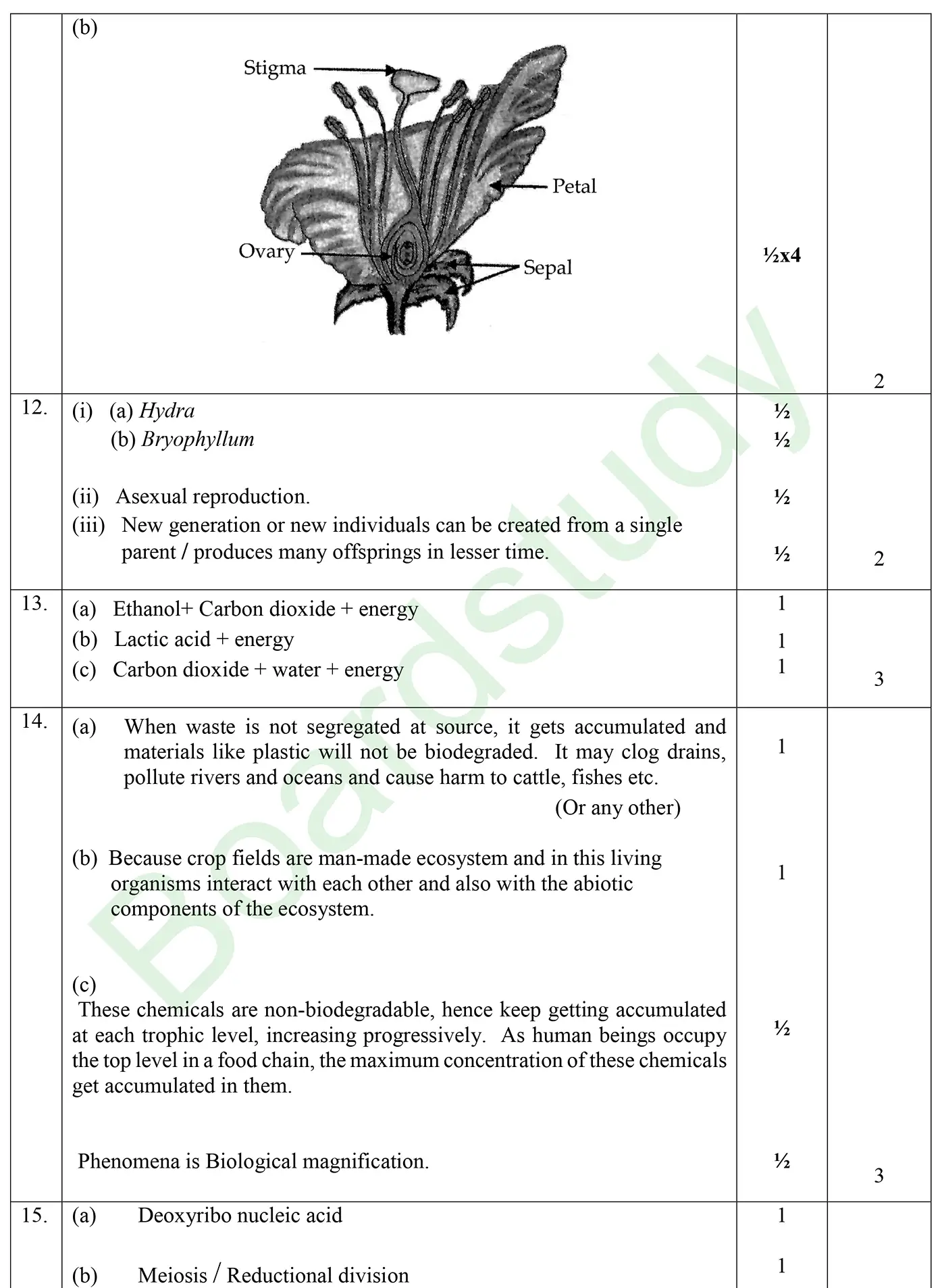 CBSE class 10 science pyq 2026 set 1 solution page 0002