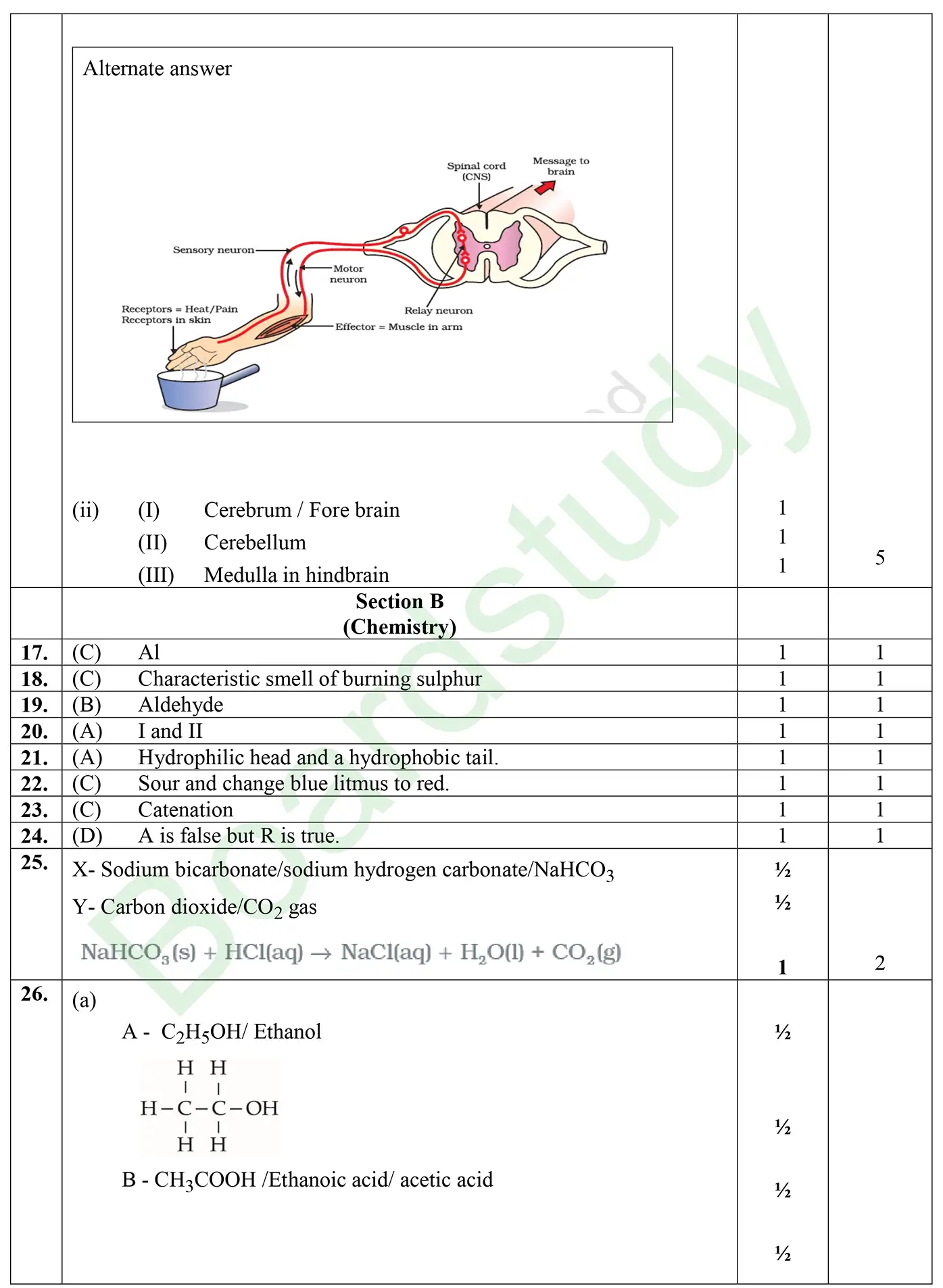 CBSE class 10 science pyq 2026 set 1 solution page 0004