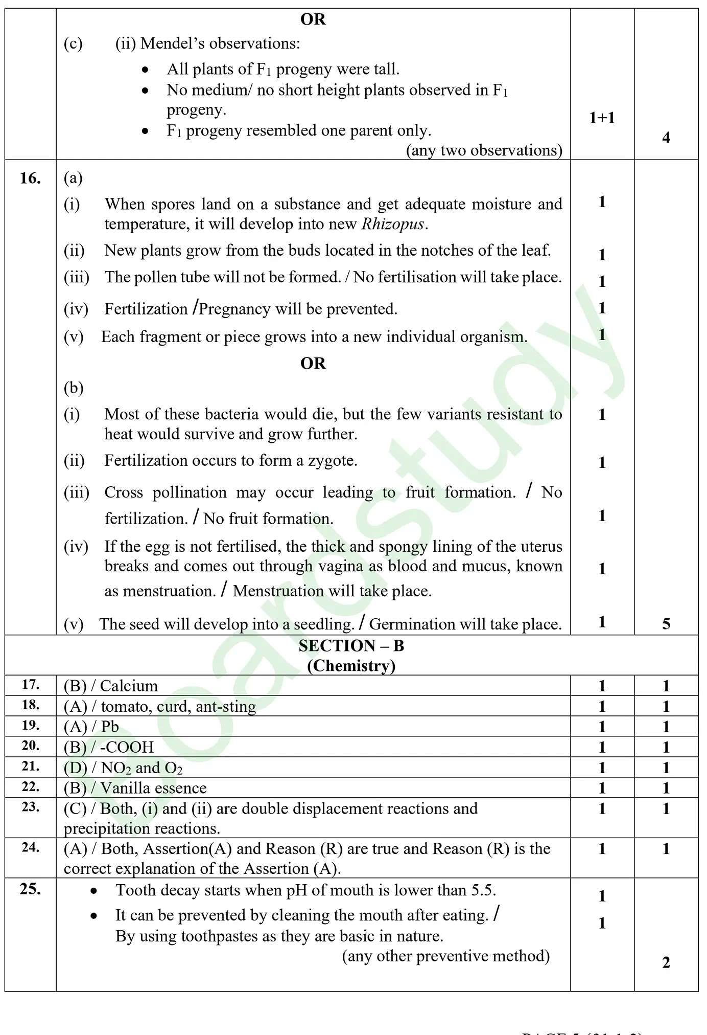 CBSE class 10 science pyq 2026 set 2 solution page 0003